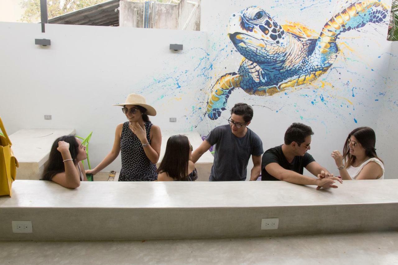 Hostel Frente Al Mar Tropico 20º Cozumel Eksteriør bilde